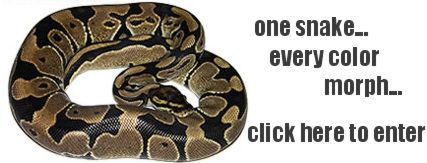 April First Bio Engineering - click here to enter