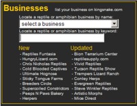 kingsnake.com business search