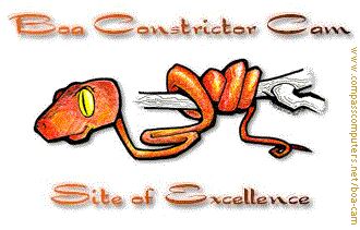 Boa Constrictor Cam Site Award