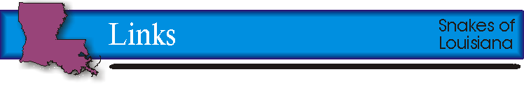 links title.gif (9186 bytes)