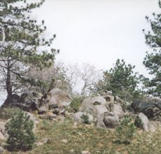 Granite Croppings