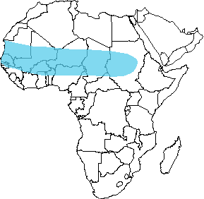 E</u>. <u>muelleri range map