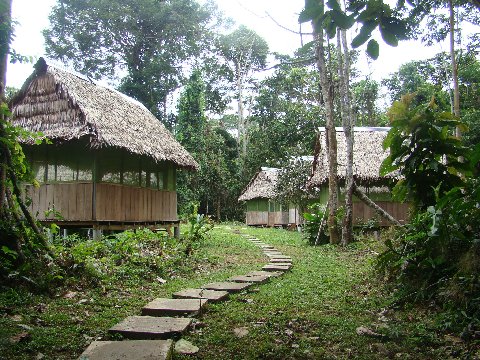 The tambos -- our dwellings -- at Madre Selva