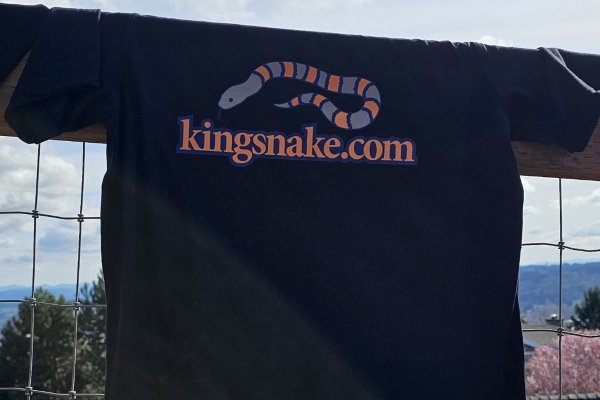 Welcome Back T-Shirts