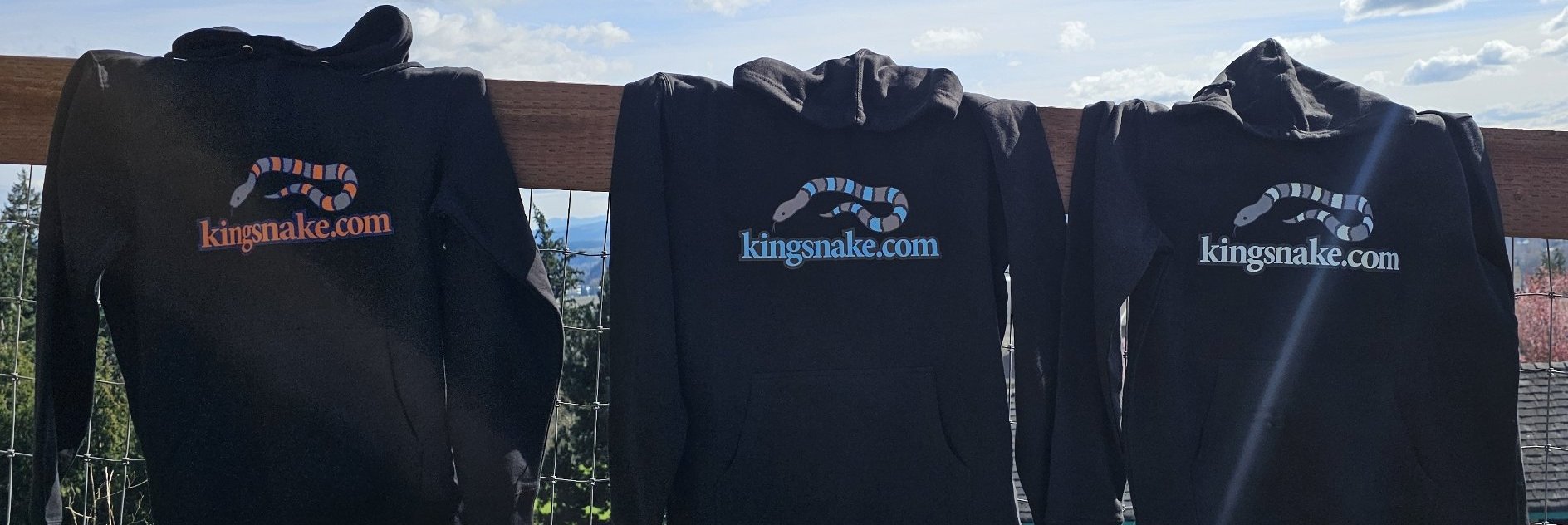 Hoodie Front view